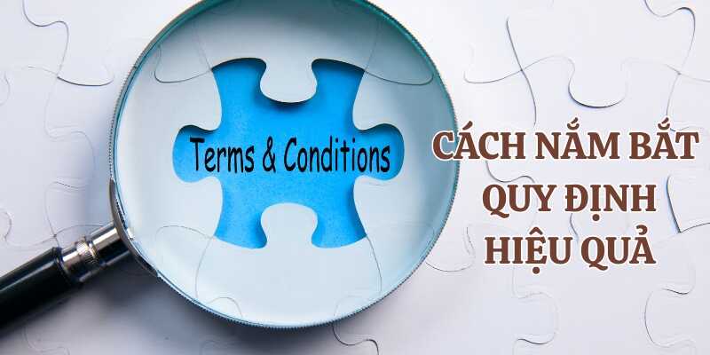Tham khảo cách nắm bắt và tuân thủ các điều khoản nhanh và hiệu quả 